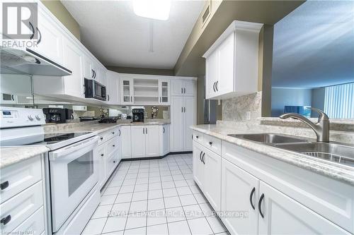 209 - 8111 Forest Glen Drive, Niagara Falls, ON - Indoor Photo Showing Kitchen With Double Sink