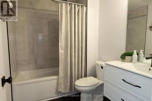 11 Briscoe Crescent, Strathroy-Caradoc (Ne), ON - Indoor Photo Showing Bathroom