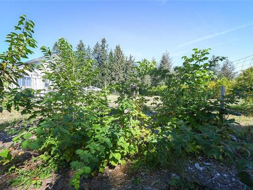 2096 May Rd, Comox, BC 