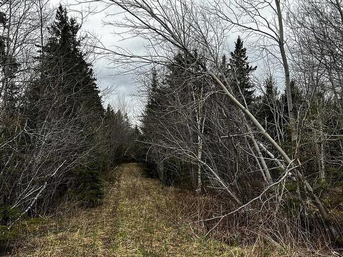 67 Acres Hardwood Hill Road, Hardwood Hill, NS 