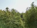 67 Acres Hardwood Hill Road, Hardwood Hill, NS 