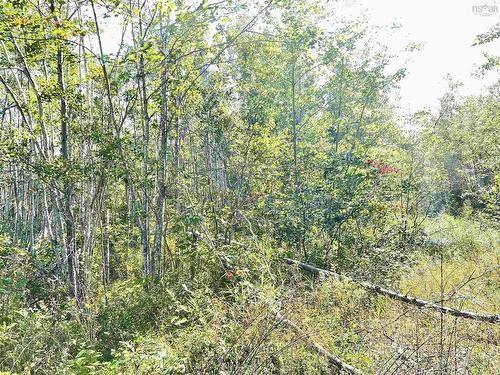 67 Acres Hardwood Hill Road, Hardwood Hill, NS 