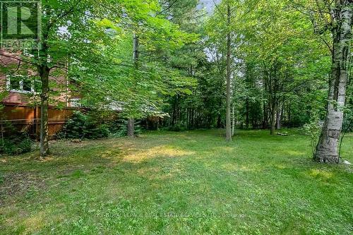 113 37Th Street N, Wasaga Beach, ON - Outdoor