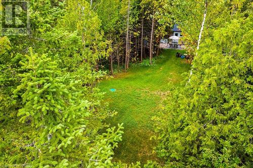 MATURE LOT 200’ DEEP - 1489 2Nd Avenue S, Saugeen Indian Reserve 29, ON - Outdoor