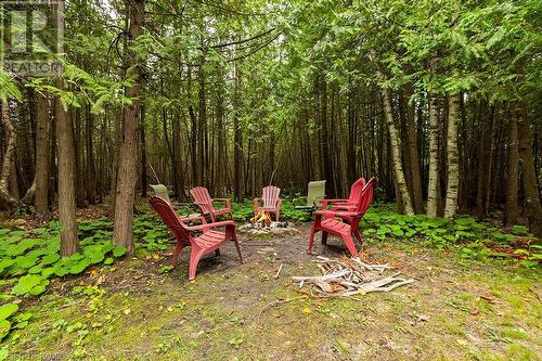 LETS SIT BY THE CAMFIRE! - 1489 2Nd Avenue S, Saugeen Indian Reserve 29, ON - Outdoor