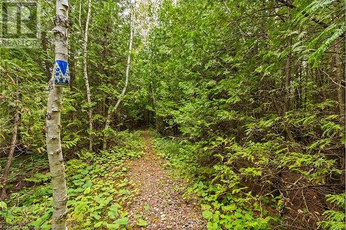 THE QUIET TRAIL - 1489 2Nd Avenue S, Saugeen Indian Reserve 29, ON - Outdoor