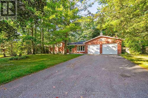 224 Park Avenue, East Gwillimbury (Holland Landing), ON - Outdoor