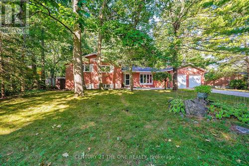 224 Park Avenue, East Gwillimbury (Holland Landing), ON - Outdoor