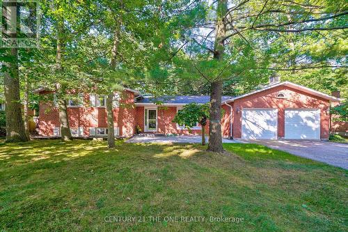 224 Park Avenue, East Gwillimbury (Holland Landing), ON - Outdoor