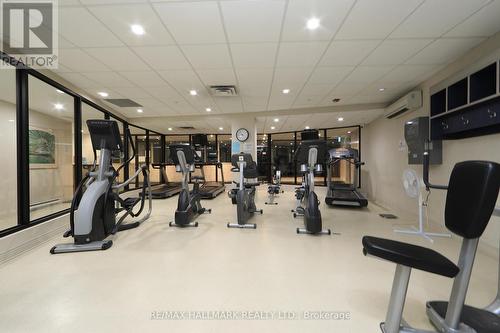 2102 - 3303 Don Mills Road, Toronto (Don Valley Village), ON - Indoor Photo Showing Gym Room