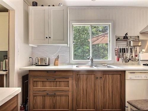 Kitchen - 28 Ch. Des Sapins, Harrington, QC - Indoor Photo Showing Kitchen With Double Sink