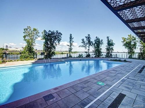 Piscine - 1701-151 Rue De La Rotonde, Montréal (Verdun/Île-Des-Soeurs), QC - Outdoor With In Ground Pool With Backyard