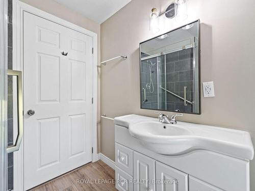 316910 Highway 6, Chatsworth, ON - Indoor Photo Showing Bathroom