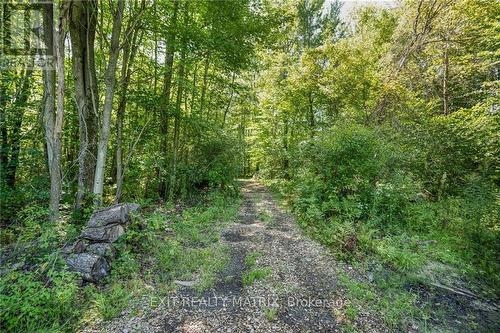 1574 Sandy Hill Road, Champlain, ON - Outdoor