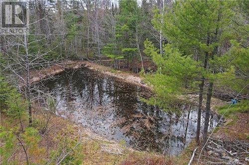 11 Deerwood Drive, Fredericton, NB - Outdoor With View