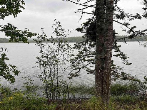 Lot 6 Lochiel Lake Road, South Lochaber, NS 