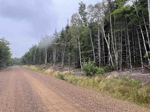 Lot 6 Lochiel Lake Road, South Lochaber, NS 