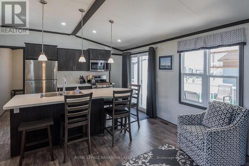 Cv003 - 657 Thunder Bridge Road, Kawartha Lakes, ON - Indoor Photo Showing Kitchen With Upgraded Kitchen