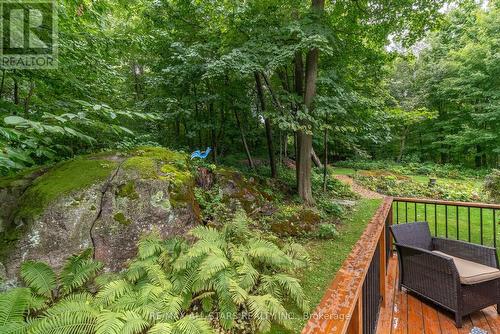 11 Aneva Court, Kawartha Lakes, ON - Outdoor