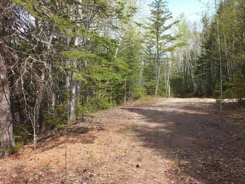 Land/Lot - 6E Rang, Saint-Hilarion, QC 