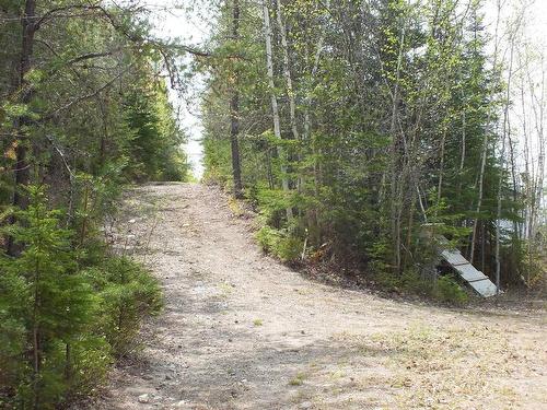 Land/Lot - 6E Rang, Saint-Hilarion, QC 