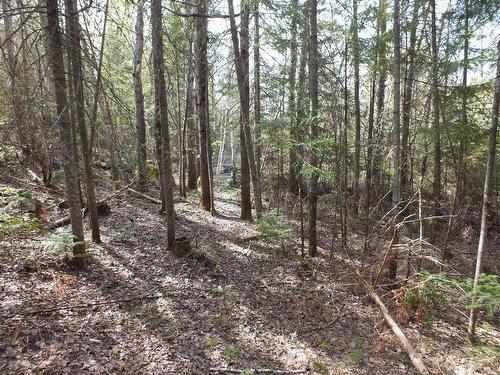 Land/Lot - 6E Rang, Saint-Hilarion, QC 