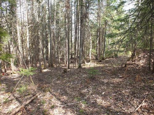 Land/Lot - 6E Rang, Saint-Hilarion, QC 