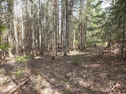 Land/Lot - 