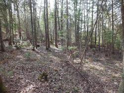 Land/Lot - 