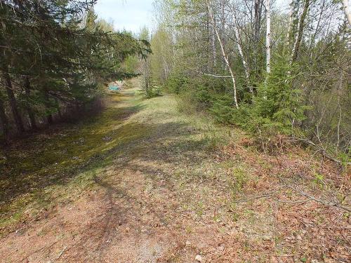 Land/Lot - 6E Rang, Saint-Hilarion, QC 