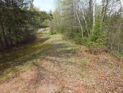 Land/Lot - 