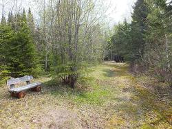 Land/Lot - 