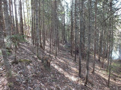 Land/Lot - 6E Rang, Saint-Hilarion, QC 