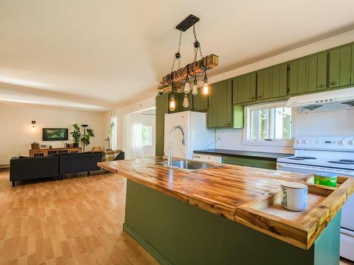 Vue d'ensemble - 211 Rue Des Cornouillers, Shawinigan, QC - Indoor Photo Showing Kitchen