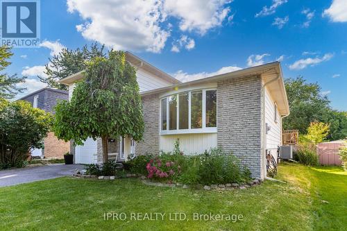 43 Grassington Crescent, Brampton, ON - Outdoor