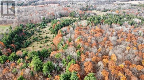 1639 Kirkfield Road, Kawartha Lakes, ON - Outdoor With View