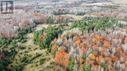 1639 Kirkfield Road, Kawartha Lakes, ON - Outdoor With View