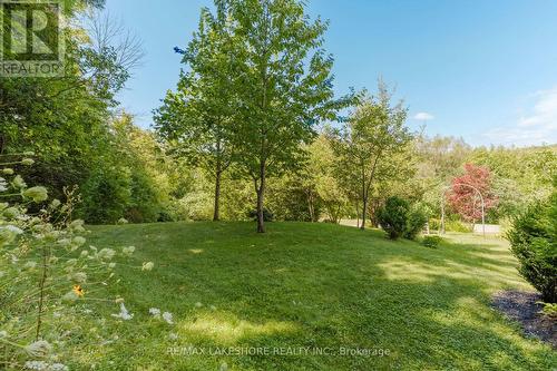 167 Craig Road, Alnwick/Haldimand, ON - Outdoor