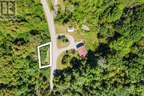 167 Craig Road, Alnwick/Haldimand, ON - Outdoor With View