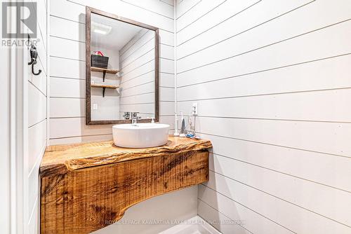 3941 Hwy 35, Kawartha Lakes (Cameron), ON - Indoor Photo Showing Bathroom