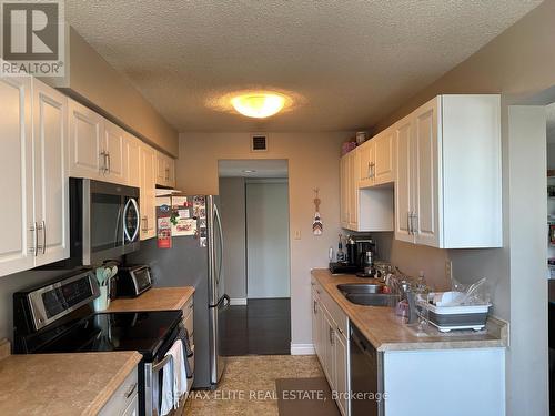 1003 - 185 Ontario Street, Kingston, ON - Indoor Photo Showing Kitchen With Double Sink