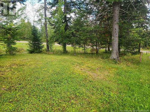 1204 Canton Road, Dsl De Drummond/Dsl Of Drummond, NB 