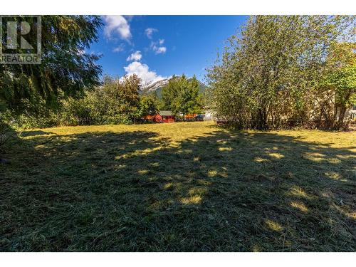 1321 7Th  Avenue, Fernie, BC 