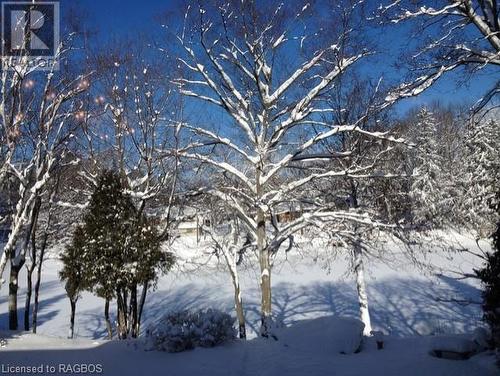 Winter Wonderland! - 170 4Th Street W, Owen Sound, ON - Outdoor With View