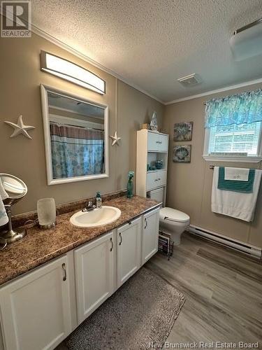 148 Hazelton Road, Doaktown, NB - Indoor Photo Showing Bathroom