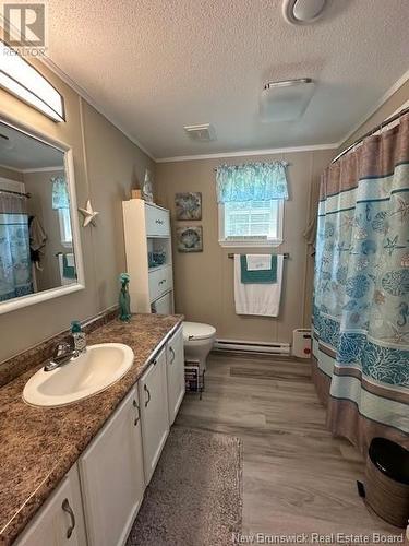 148 Hazelton Road, Doaktown, NB - Indoor Photo Showing Bathroom