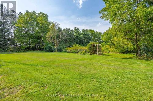 Backyard - 17988 Thorndale Road, Thames Centre (Thorndale), ON - Outdoor