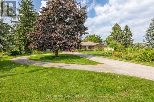 Turn Around Driveway - 17988 Thorndale Road, Thames Centre (Thorndale), ON - Outdoor