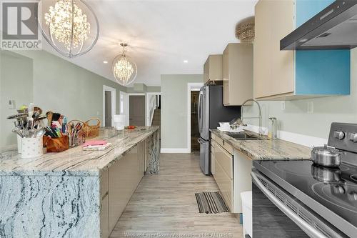 1546 Reading Street, Windsor, ON - Indoor Photo Showing Kitchen With Upgraded Kitchen