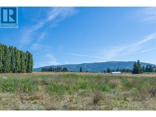 4230 20 Street Ne, Salmon Arm, BC - Outdoor With View